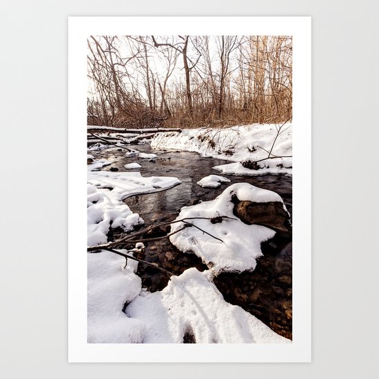 winter creek Art Print
