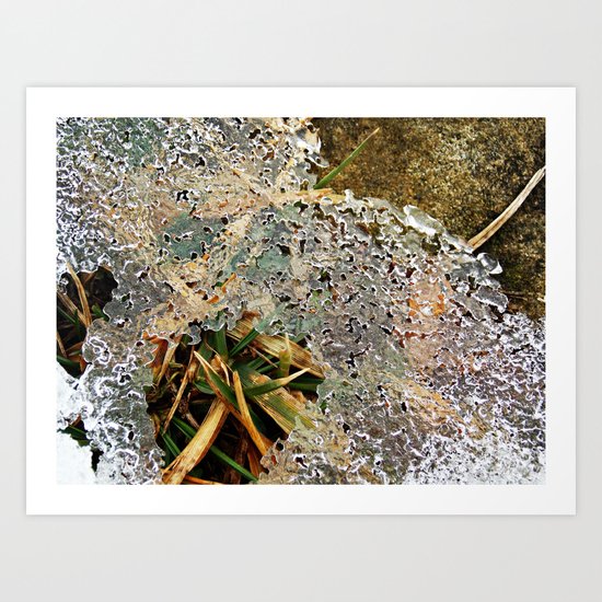 Nature Frozen Over Art Print