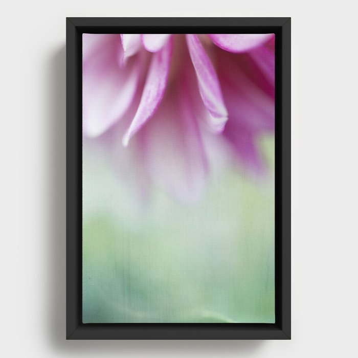 Pink Reverie Framed Canvas
