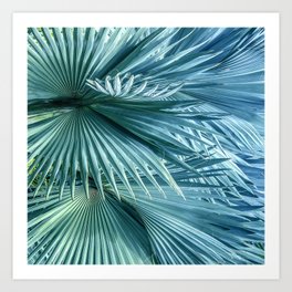 Silver-Blue & Sea Foam-Green Palm Leaves Art Photo Art Print