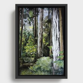 Pacific Northwest Rainforest Framed Canvas