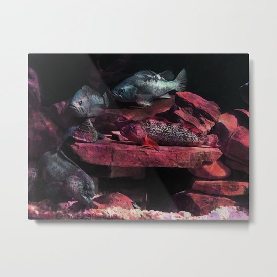 Fish on the Barbie Metal Print
