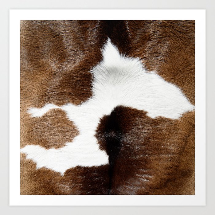 Cowhide Detail Art Print