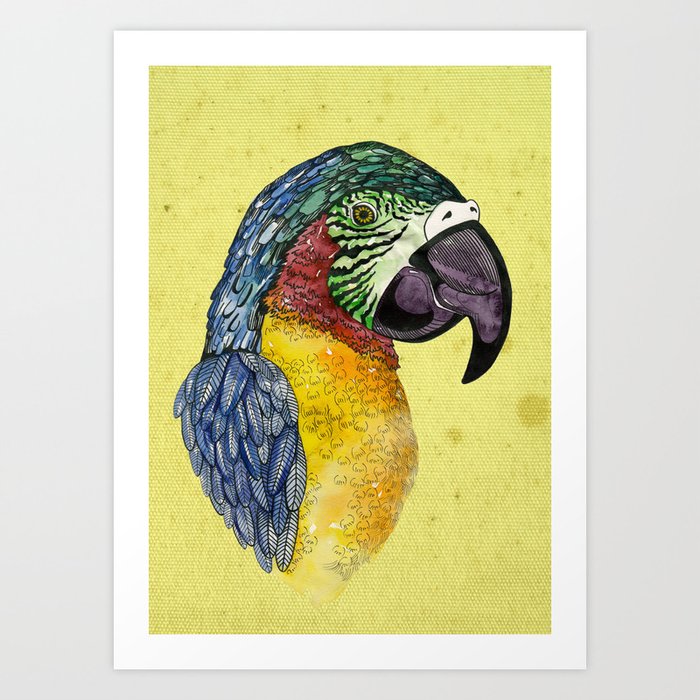 Parrot Art Print