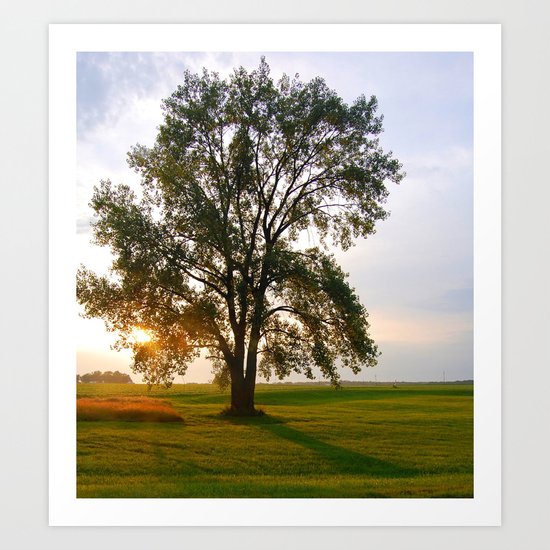 Tree Art Print