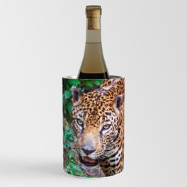 Jungle walking jaguar, Guatemala Wine Chiller