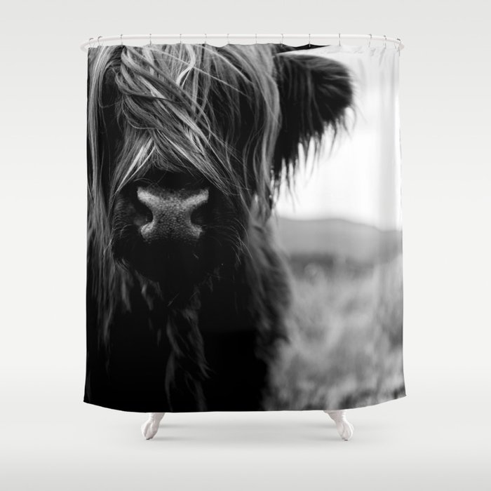 Scottish Highland Cattle Baby Black And White Animal Photography Shower Curtain By Regnumsaturni Society6 - Cow Shower Curtain Black And White