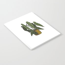 Begonia Maculata Notebook