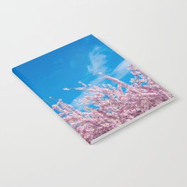 vividly looking up Notebook