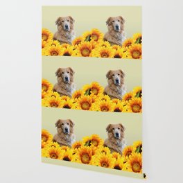 Golden Retriever Sunflower Field Wallpaper