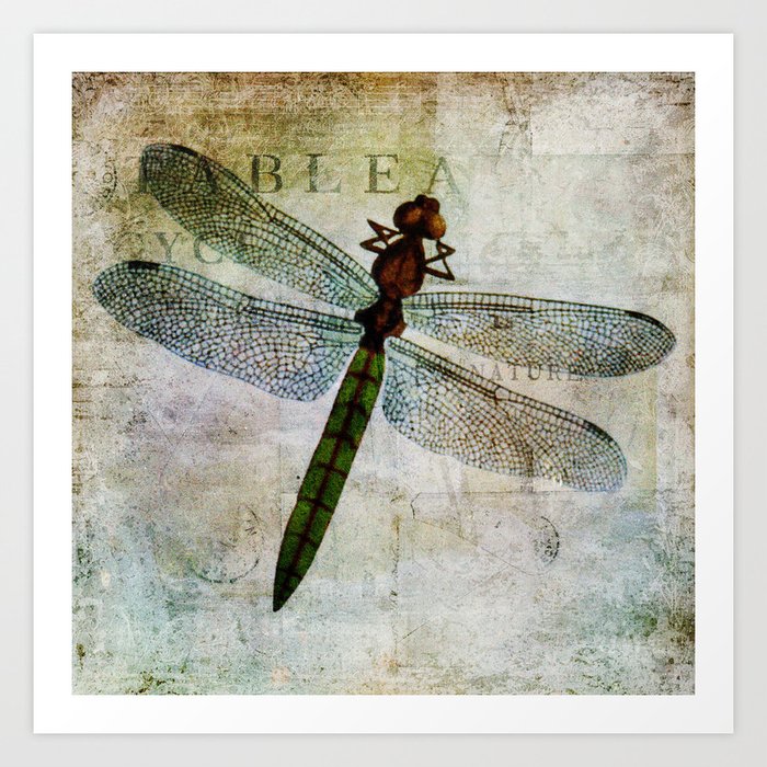 Vintage Dragonfly botanical nature print Art Print by DavidHayes | Society6