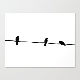 3 little birds Canvas Print