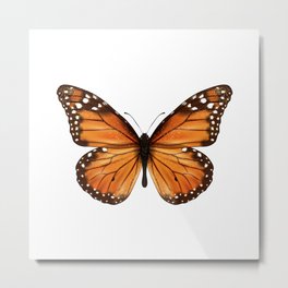 monarch butterfly Metal Print