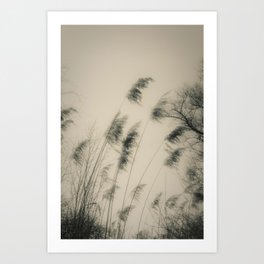 Botanical Series | Blowing in the Wind Art Print
