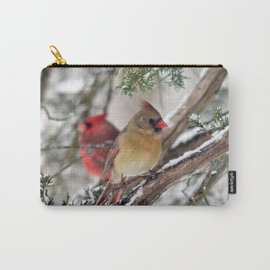 Tandem Cardinals Carry-All Pouch