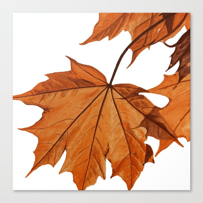 Maple Leaf Autumn Canvas Print