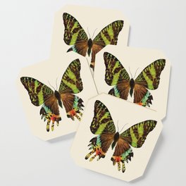 Madagascan Sunset Moth Watercolor Vintage Butterfly  Coaster
