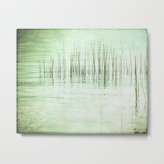 reeds Metal Print