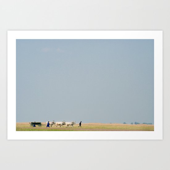 Shepherds Art Print