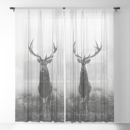 Horns Solo - Realistic Deer Drawing Sheer Curtain