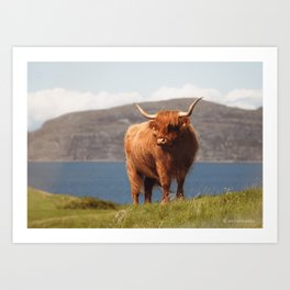 Mull's Majesty: Highland Coo Portrait Overlooking Sea and Mountains Art Print