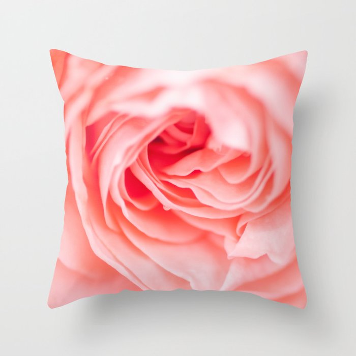 macro shot of beautiful pink rose flower Throw Pillow