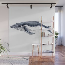 Humpback whale (Megaptera novaeangliae) Wall Mural