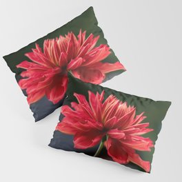 Majestic Red Dahlia Cooper Blaine Pillow Sham