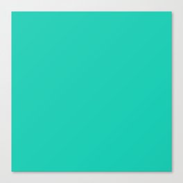 2022 AMAZONITE CRYSTAL SOLID Canvas Print
