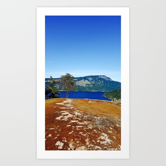 Lone Arbutus, Mid Afternoon Stoney Hill Art Print