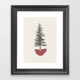 Fir Pine Framed Art Print