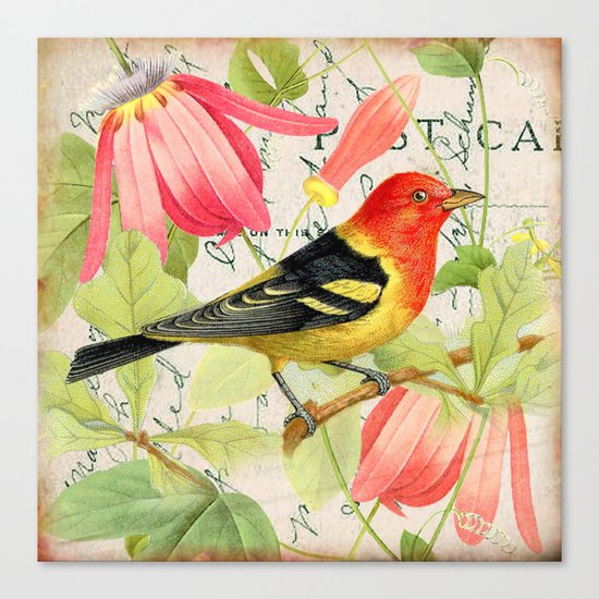 Vintage Bird #4 Canvas Print