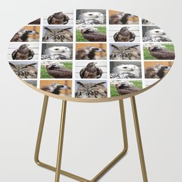 Closeup Animal Portraits Photographs. Birds of prey Side Table