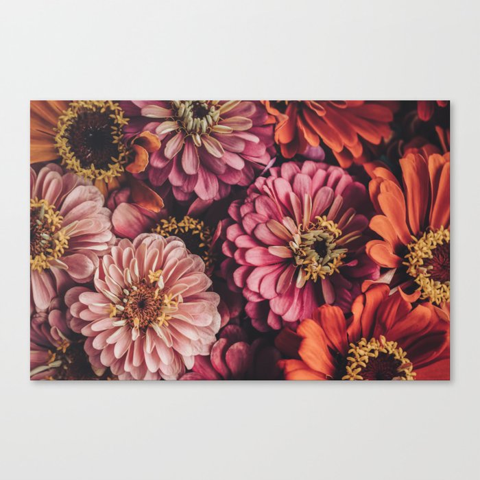Flower photography - Colorful Gerbera Daisies - floral print Canvas Print