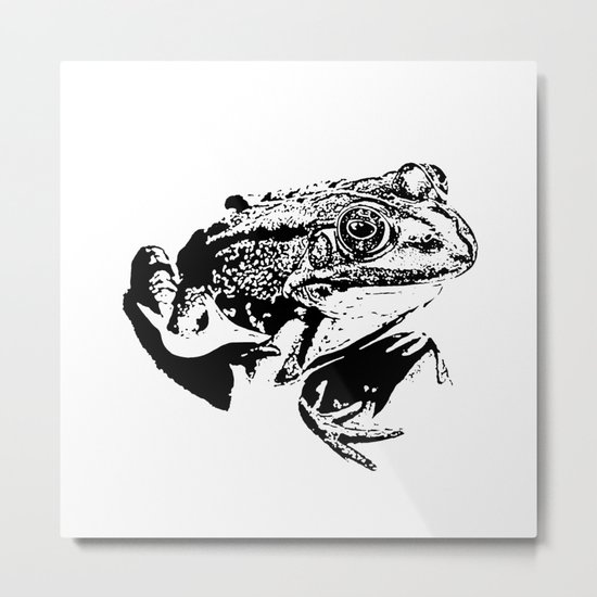 black frog IV Metal Print