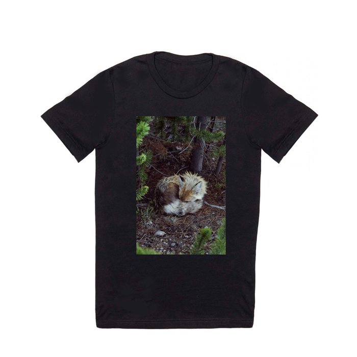 Sleeping Fox T Shirt