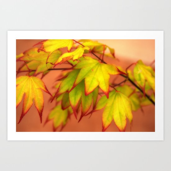 Tinged with Red Art Print