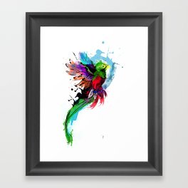 Watercolor Quetzal  Framed Art Print