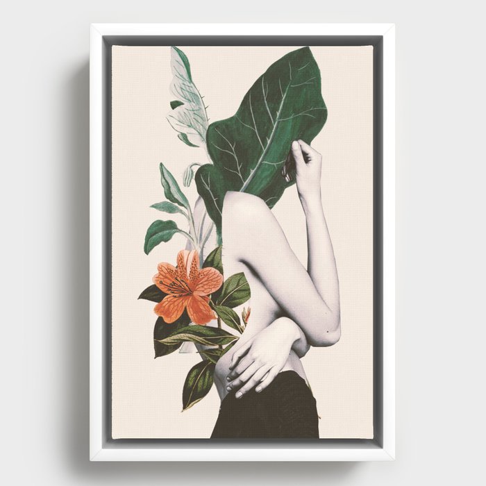 Framed Canvas
