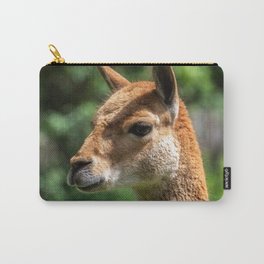 Vicunas Vicugna Relatives Llama Which Live    Carry-All Pouch