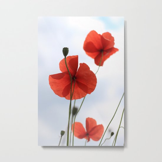 Mohn Metal Print