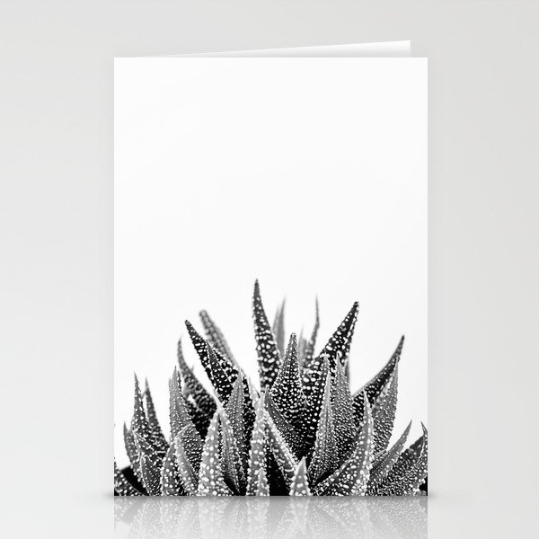 Haworthia Succulent in Black and White Stationery Cards