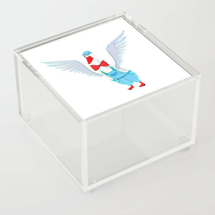Cute White Goose Flapping Its Wings Acrylic Box