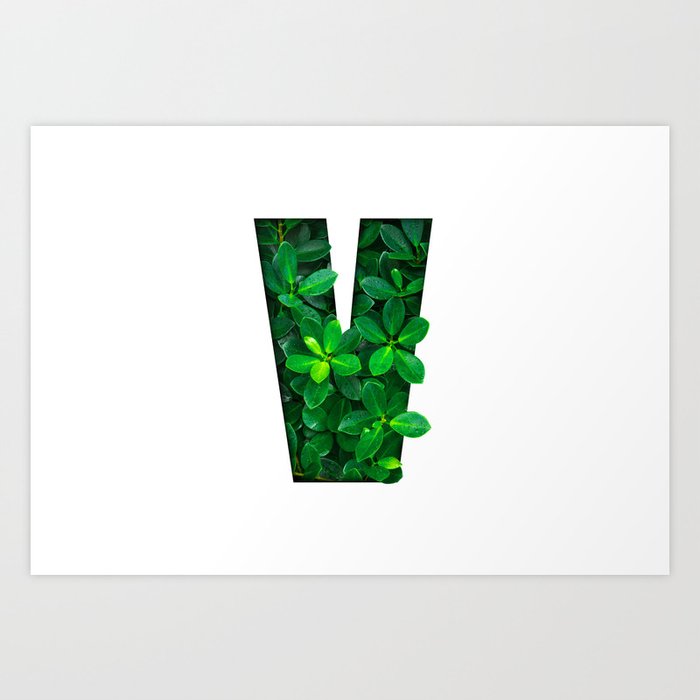 nature concept alphabet of green leaves in alphabet letter v art print by kramynina society6