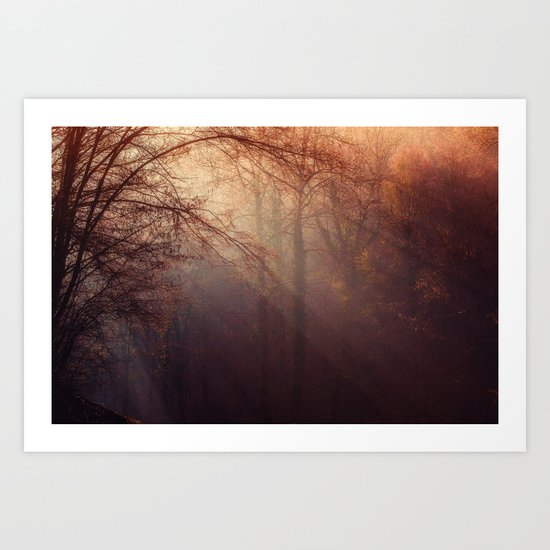 fall forest Art Print