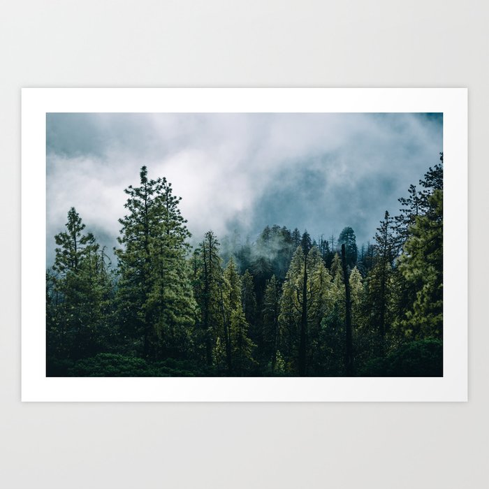 Sequoia Foggy Forest Art Print