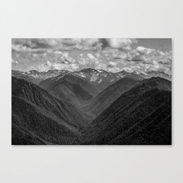 Hurricane Ridge, WA Canvas Print