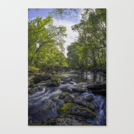 Summer River Canvas Print