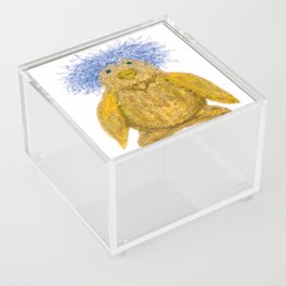 Unique bird 2 Acrylic Box