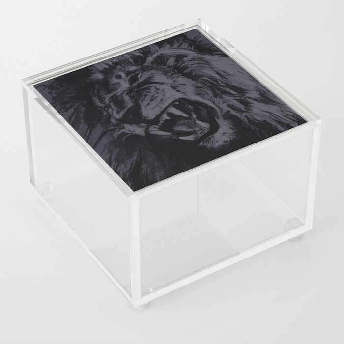 Panthera Leo Carboneum - Dark Acrylic Box
